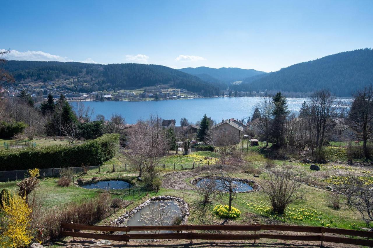 Moho Mountain Home Gerardmer Bagian luar foto